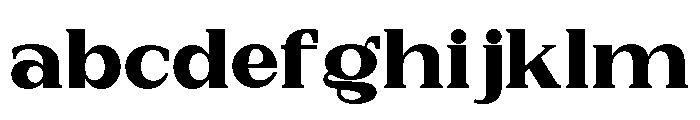 New Bight Extra Black Expanded FONT