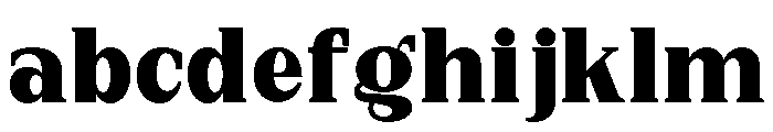 New Bight Extra Black FONT