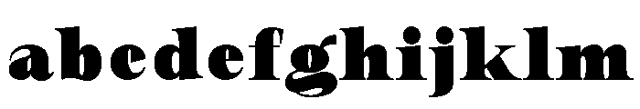 New Novaryn Black Condensed FONT