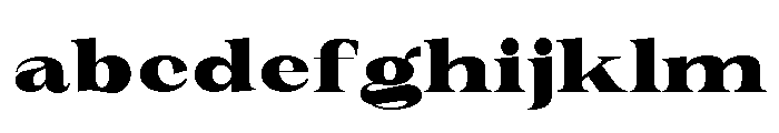 New Novaryn Black Expanded FONT
