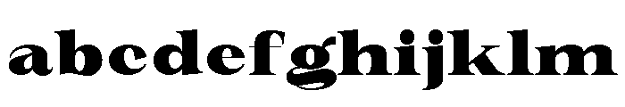 New Novaryn Black Semi Expanded FONT