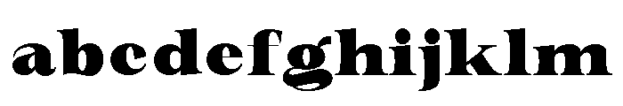 New Novaryn Black FONT