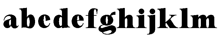 New Novaryn Bold Condensed FONT