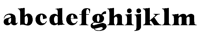 New Novaryn Bold Semi Condensed FONT