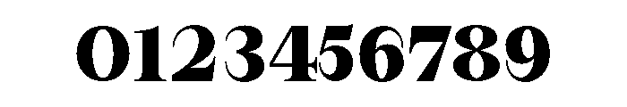 New Novaryn Bold Font OTHER CHARS