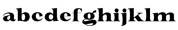 New Novaryn ExtBd SemExp FONT
