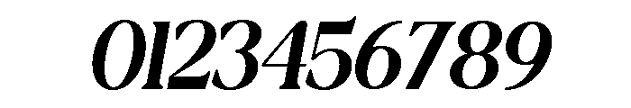 New Shuffle Italic Italic Font OTHER CHARS