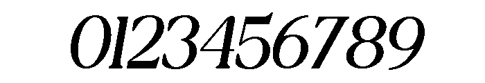 New Shuffle Italic Thin Italic Font OTHER CHARS