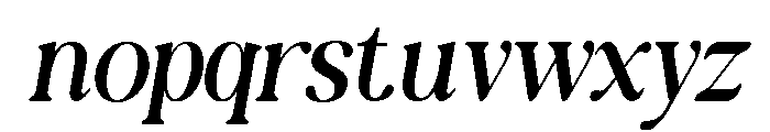 New Shuffle Italic Thin Italic Font LOWERCASE