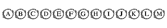 New year star FONT