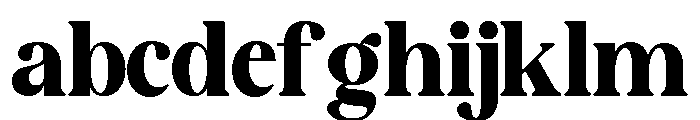 NewShuffle-Bold FONT