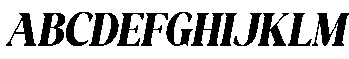 NewShuffleItalic-BoldItalic Font UPPERCASE