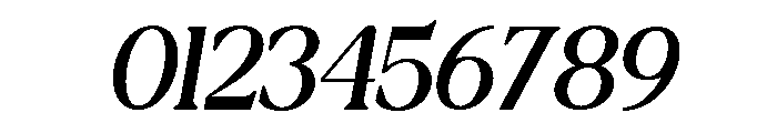 NewShuffleItalic-ExtLtIta Font OTHER CHARS