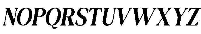 NewShuffleItalic-Italic Font UPPERCASE