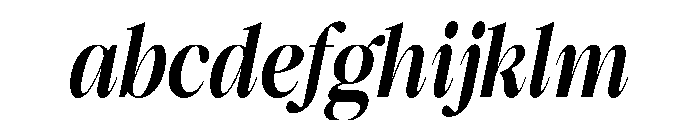 Newback Italic FONT