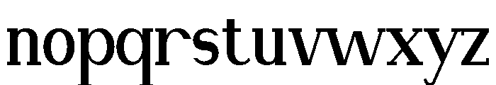 NewbornTimes-ExtBdCond Font LOWERCASE