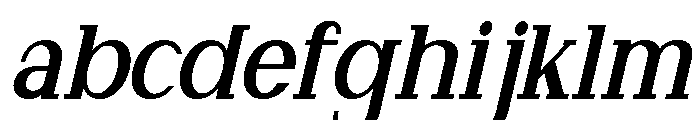 NewbornTimes-ExtBdSlantCond FONT