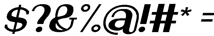 NewbornTimes-ExtBdSlantExp Font OTHER CHARS