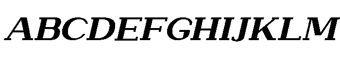 NewbornTimes-ExtBdSlantExp Font UPPERCASE