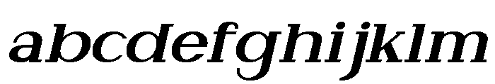 NewbornTimes-ExtBdSlantExp FONT