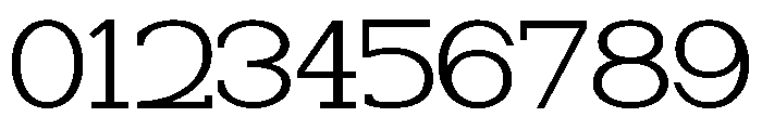 NewbornTimes-ExtLtExp Font OTHER CHARS