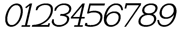 NewbornTimes-ExtLtSlant Font OTHER CHARS