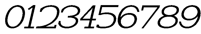 NewbornTimes-ExtLtSlantExp Font OTHER CHARS