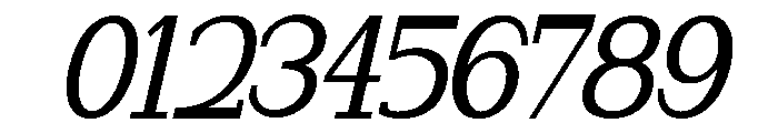 NewbornTimes-MedSlantCond Font OTHER CHARS