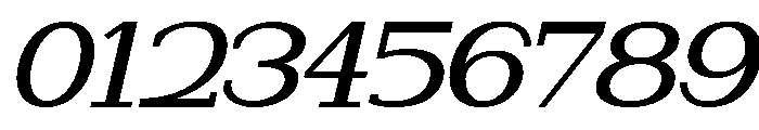 NewbornTimes-MedSlantExp Font OTHER CHARS