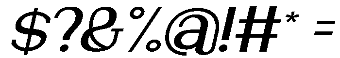 NewbornTimes-MedSlantExp Font OTHER CHARS