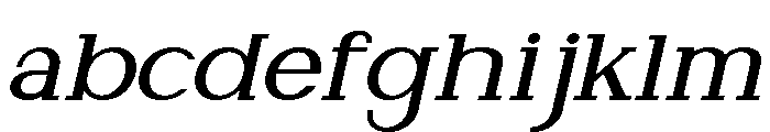 NewbornTimes-MedSlantExp FONT