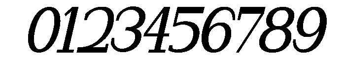 NewbornTimes-SemBdSlantCond Font OTHER CHARS