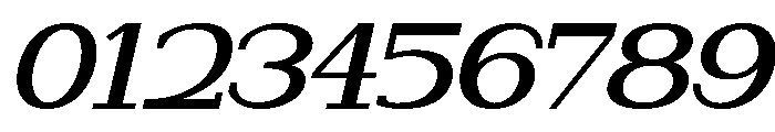 NewbornTimes-SemBdSlantExp Font OTHER CHARS
