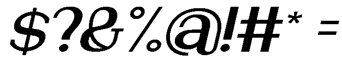 NewbornTimes-SemBdSlantExp Font OTHER CHARS