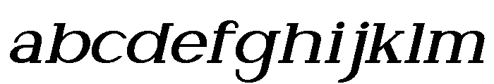 NewbornTimes-SemBdSlantExp FONT