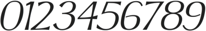 NEWLOOK Oblique Regular ttf (400) Font OTHER CHARS