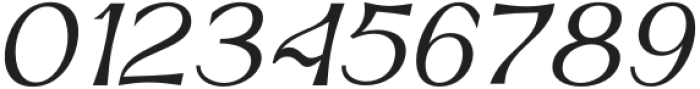 Neckyn Italic otf (400) Font OTHER CHARS