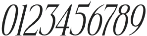 Nerhole Italic otf (400) Font OTHER CHARS