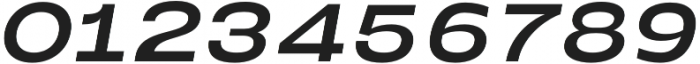 Neue Metana  Semi Bold Italic otf (600) Font OTHER CHARS