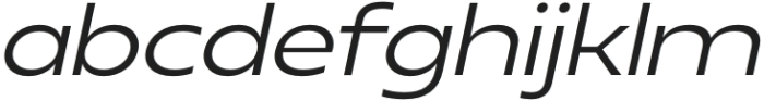 Neue Reman Gt Expanded Italic otf (400) Font LOWERCASE