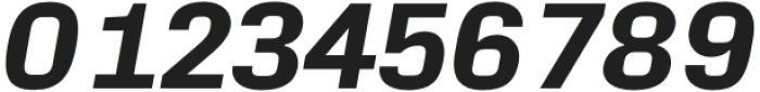 NeueAlter-BoldItalic otf (700) Font OTHER CHARS