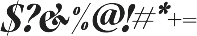 New Display Italic ttf (400) Font OTHER CHARS