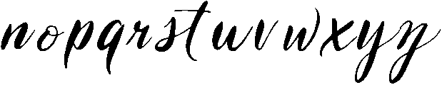 New Font otf (400) Font LOWERCASE
