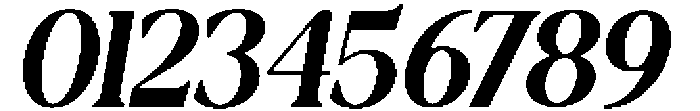 New Shuffle Italic Medium Italic otf (500) Font OTHER CHARS