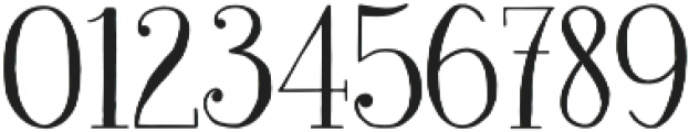 Newcraft Serif otf (400) Font OTHER CHARS