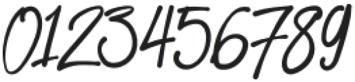 Newera Typeface Regular otf (400) Font OTHER CHARS