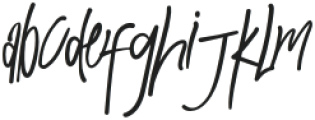 Newera Typeface Regular otf (400) Font LOWERCASE