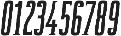 Newgate Slab Bold Oblique ttf (700) Font OTHER CHARS
