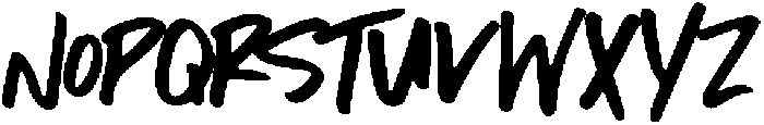 Newport otf (400) Font UPPERCASE