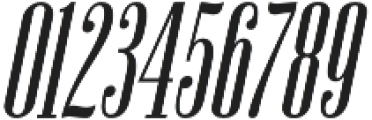 Newston Italic otf (400) Font OTHER CHARS
